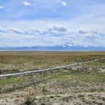 Photo 3 for Flowing Wells aka Chicken Ranch