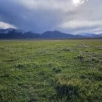 Photo 7 for Flowing Wells aka Chicken Ranch