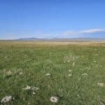 Photo 8 for Flowing Wells aka Chicken Ranch