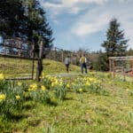 Photo 13 for Elk Meadow Ranch