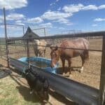 Photo 6 for Trumball Ranch