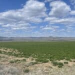Photo 20 for Trumball Ranch