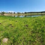 Photo 3 for Bidwell Alturas Ranch