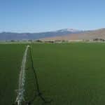 Photo 3 for Martins Hay Ranch