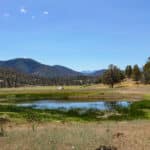 Photo 12 for IX Ranch