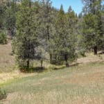 Photo 15 for IX Ranch
