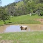 Photo 8 for Buckeye Creek Ranch