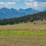 Photo 42 for IX Ranch