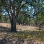 Photo 44 for IX Ranch