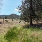 Photo 47 for IX Ranch