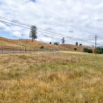 Photo 64 for Austin Ranch