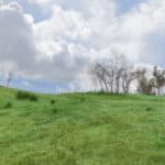 Photo 10 for 1085 Rimrock Drive Lake View Lot
