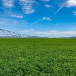 Photo 1 for Shady Dell Organic Hay Ranch