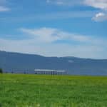 Photo 9 for Shady Dell Organic Hay Ranch