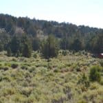 Photo 42 for Valley View Ranch