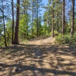 Photo 6 for Lake Britton Acres
