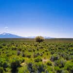 Photo 10 for Ten Mile Ranch