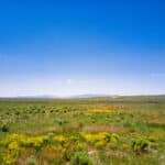 Photo 12 for Ten Mile Ranch