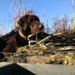 Photo 54 for Waterfowl Haven