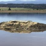 Photo 2 for Waterfowl Haven