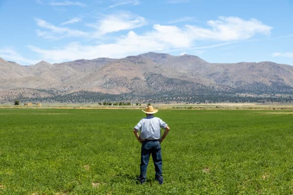 Petaluma's Cerro Pampa Polo Club, 112-acre property is up for sale