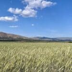 Photo 51 for Constantia Ranch