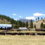 Photo 40 for South Creek Ranch