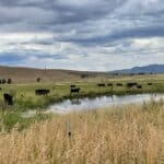 Photo 1 for South Creek Ranch