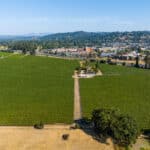 Photo 6 for Coffey Lane Vineyard - Sonoma County, California