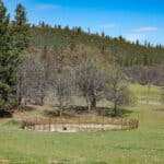 Photo 24 for Clydes Dale Farm
