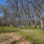 Photo 35 for Clydes Dale Farm