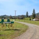Photo 38 for Clydes Dale Farm
