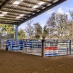 Photo 12 for Bar W Bar Ranch and Arena