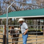 Photo 15 for Bar W Bar Ranch and Arena