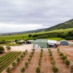 Photo 34 for Boekenoogen Santa Lucia Highlands Vineyard