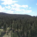 Photo 19 for Spring Hill Cabin