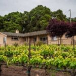 Photo 39 for Boekenoogen Santa Lucia Highlands Vineyard