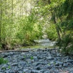 Photo 14 for Patterson Creek Getaway