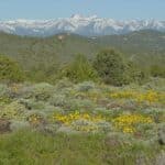 Photo 6 for Virginia City Highlands: Lakeview Ranch