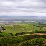 Photo 95 for Boekenoogen Santa Lucia Highlands Vineyard