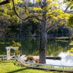 Photo 37 for Rock Creek Ranch