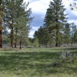 Photo 8 for Spring Hill Cabin