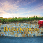 Photo 12 for Boekenoogen Santa Lucia Highlands Vineyard