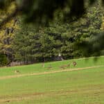 Photo 30 for Bear Mountain Ranch