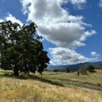 Photo 6 for GGA Cuyama Ranch