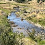 Photo 3 for GGA Cuyama Ranch