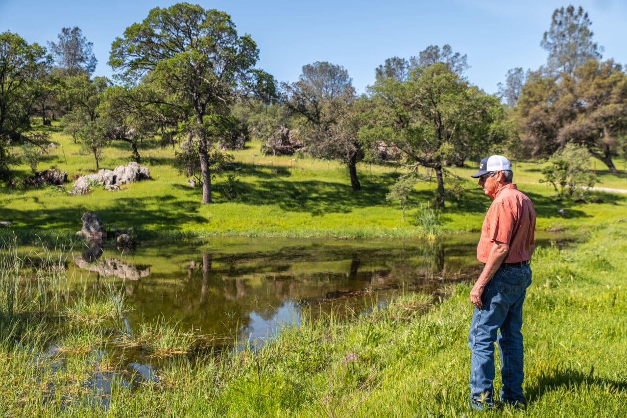 The Gann Ranch - California Outdoor Properties