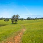 Photo 80 for The Gann Ranch