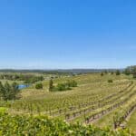 Photo 45 for Granite Ridge Vineyard & Estate