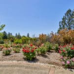 Photo 54 for Granite Ridge Vineyard & Estate